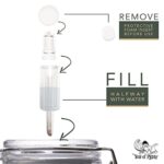 Year of Plenty BPA-Free Airlocks – Set of 12 – Hydrolocks for Fermenting, Brewing, Beer, Wine, Sauerkraut, Kimchi and Other Fermentation Projects (12) …