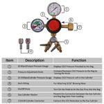 Taprite WYE’d Dual Check Valves Beer Regulator – Draft Beer and Homebrew Keg Co2 Cylinder Tank Pressure Regulator and Gauge