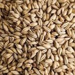 Weyermann Floor Malted Bohemian Pilsner Malt Home Brewing Malt Whole Grain 1lb Bag